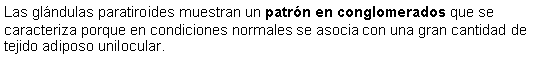 Cuadro de texto: Las glndulas paratiroides muestran un patrn en conglomerados que se caracteriza porque en condiciones normales se asocia con una gran cantidad de tejido adiposo unilocular. 