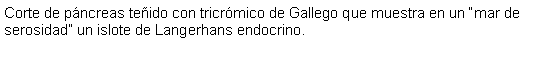 Cuadro de texto: Corte de pncreas teido con tricrmico de Gallego que muestra en un mar de serosidad un islote de Langerhans endocrino.  