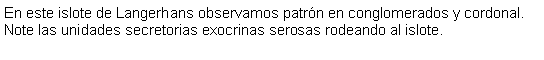 Cuadro de texto: En este islote de Langerhans observamos patrn en conglomerados y cordonal. Note las unidades secretorias exocrinas serosas rodeando al islote.