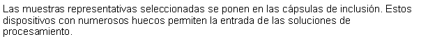 Cuadro de texto: Las muestras representativas seleccionadas se ponen en las cpsulas de inclusin. Estos dispositivos con numerosos huecos permiten la entrada de las soluciones de procesamiento.