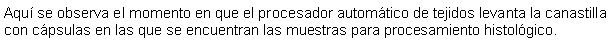 Cuadro de texto: Aquí se observa el momento en que el procesador automático de tejidos levanta la canastilla con cápsulas en las que se encuentran las muestras para procesamiento histológico. 
