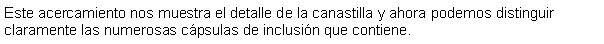 Cuadro de texto: Este acercamiento nos muestra el detalle de la canastilla y ahora podemos distinguir claramente las numerosas cpsulas de inclusin que contiene. 