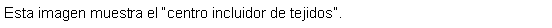 Cuadro de texto: Esta imagen muestra el centro incluidor de tejidos.  