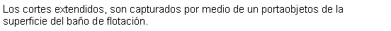 Cuadro de texto: Los cortes extendidos, son capturados por medio de un portaobjetos de la superficie del bao de flotacin.