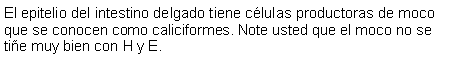 Cuadro de texto: El epitelio del intestino delgado tiene clulas productoras de moco que se conocen como caliciformes. Note usted que el moco no se tie muy bien con H y E.  