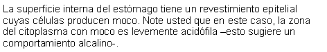 Cuadro de texto: La superficie interna del estmago tiene un revestimiento epitelial cuyas clulas producen moco. Note usted que en este caso, la zona del citoplasma con moco es levemente acidfila esto sugiere un comportamiento alcalino-.