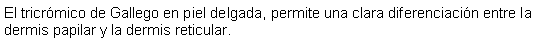 Cuadro de texto: El tricrmico de Gallego en piel delgada, permite una clara diferenciacin entre la dermis papilar y la dermis reticular. 