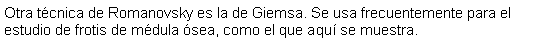 Cuadro de texto: Otra tcnica de Romanovsky es la de Giemsa. Se usa frecuentemente para el estudio de frotis de mdula sea, como el que aqu se muestra. 