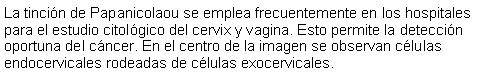 Cuadro de texto: La tincin de Papanicolaou se emplea frecuentemente en los hospitales para el estudio citolgico del cervix y vagina. Esto permite la deteccin oportuna del cncer. En el centro de la imagen se observan clulas endocervicales rodeadas de clulas exocervicales. 