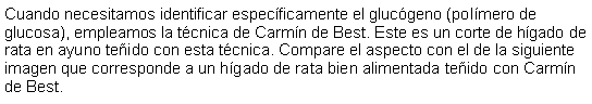 Cuadro de texto: Cuando necesitamos identificar especficamente el glucgeno (polmero de glucosa), empleamos la tcnica de Carmn de Best. Este es un corte de hgado de rata en ayuno teido con esta tcnica. Compare el aspecto con el de la siguiente imagen que corresponde a un hgado de rata bien alimentada teido con Carmn de Best. 