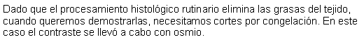 Cuadro de texto: Dado que el procesamiento histolgico rutinario elimina las grasas del tejido, cuando queremos demostrarlas, necesitamos cortes por congelacin. En este caso el contraste se llev a cabo con osmio.