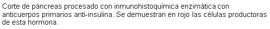 Cuadro de texto: Corte de pncreas procesado con inmunohistoqumica enzimtica con anticuerpos primarios anti-insulina. Se demuestran en rojo las clulas productoras de esta hormona.