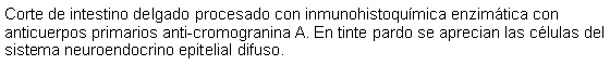 Cuadro de texto: Corte de intestino delgado procesado con inmunohistoqumica enzimtica con anticuerpos primarios anti-cromogranina A. En tinte pardo se aprecian las clulas del sistema neuroendocrino epitelial difuso.