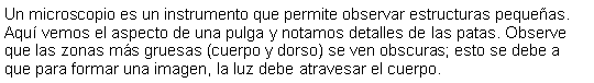 Cuadro de texto: Un microscopio es un instrumento que permite observar estructuras pequeas. Aqu vemos el aspecto de una pulga y notamos detalles de las patas. Observe que las zonas ms gruesas (cuerpo y dorso) se ven obscuras; esto se debe a que para formar una imagen, la luz debe atravesar el cuerpo.