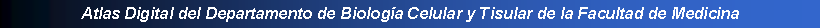 Cuadro de texto: Atlas Digital del Departamento de Biologa Celular y Tisular de la Facultad de Medicina