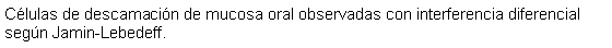 Cuadro de texto: Clulas de descamacin de mucosa oral observadas con interferencia diferencial segn Jamin-Lebedeff.