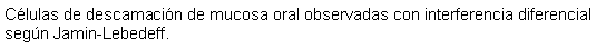 Cuadro de texto: Clulas de descamacin de mucosa oral observadas con interferencia diferencial segn Jamin-Lebedeff.