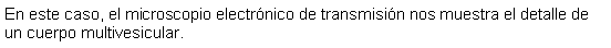 Cuadro de texto: En este caso, el microscopio electrnico de transmisin nos muestra el detalle de un cuerpo multivesicular.