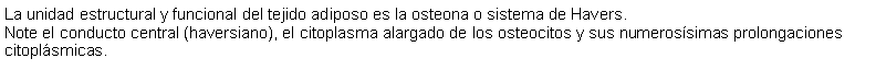 Cuadro de texto: La unidad estructural y funcional del tejido adiposo es la osteona o sistema de Havers.Note el conducto central (haversiano), el citoplasma alargado de los osteocitos y sus numerossimas prolongaciones citoplsmicas.