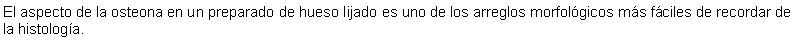 Cuadro de texto: El aspecto de la osteona en un preparado de hueso lijado es uno de los arreglos morfolgicos ms fciles de recordar de la histologa. 