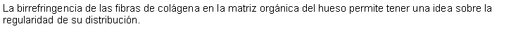 Cuadro de texto: La birrefringencia de las fibras de colgena en la matriz orgnica del hueso permite tener una idea sobre la regularidad de su distribucin.