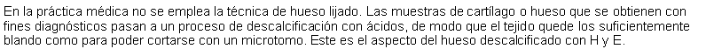 Cuadro de texto: En la prctica mdica no se emplea la tcnica de hueso lijado. Las muestras de cartlago o hueso que se obtienen con fines diagnsticos pasan a un proceso de descalcificacin con cidos, de modo que el tejido quede los suficientemente blando como para poder cortarse con un microtomo. Este es el aspecto del hueso descalcificado con H y E.