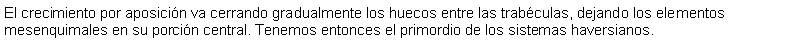 Cuadro de texto: El crecimiento por aposicin va cerrando gradualmente los huecos entre las trabculas, dejando los elementos mesenquimales en su porcin central. Tenemos entonces el primordio de los sistemas haversianos.