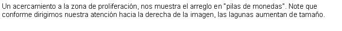 Cuadro de texto: Un acercamiento a la zona de proliferacin, nos muestra el arreglo en pilas de monedas. Note que conforme dirigimos nuestra atencin hacia la derecha de la imagen, las lagunas aumentan de tamao. 