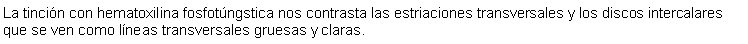 Cuadro de texto: La tincin con hematoxilina fosfotngstica nos contrasta las estriaciones transversales y los discos intercalares que se ven como lneas transversales gruesas y claras.