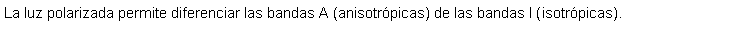 Cuadro de texto: La luz polarizada permite diferenciar las bandas A (anisotrpicas) de las bandas I (isotrpicas).