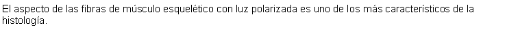 Cuadro de texto: El aspecto de las fibras de msculo esqueltico con luz polarizada es uno de los ms caractersticos de la histologa.