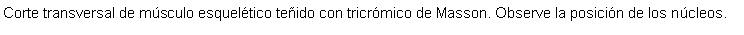 Cuadro de texto: Corte transversal de msculo esqueltico teido con tricrmico de Masson. Observe la posicin de los ncleos. 