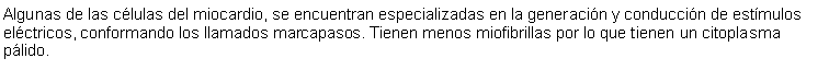 Cuadro de texto: Algunas de las clulas del miocardio, se encuentran especializadas en la generacin y conduccin de estmulos elctricos, conformando los llamados marcapasos. Tienen menos miofibrillas por lo que tienen un citoplasma plido. 