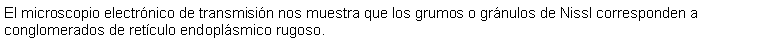 Cuadro de texto: El microscopio electrnico de transmisin nos muestra que los grumos o grnulos de Nissl corresponden a conglomerados de retculo endoplsmico rugoso.