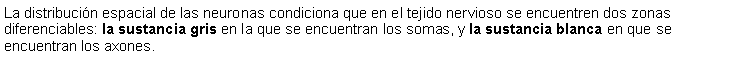 Cuadro de texto: La distribucin espacial de las neuronas condiciona que en el tejido nervioso se encuentren dos zonas diferenciables: la sustancia gris en la que se encuentran los somas, y la sustancia blanca en que se encuentran los axones. 