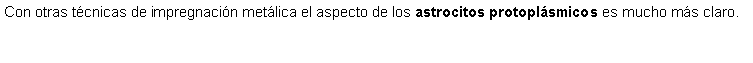 Cuadro de texto: Con otras tcnicas de impregnacin metlica el aspecto de los astrocitos protoplsmicos es mucho ms claro.