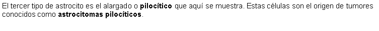 Cuadro de texto: El tercer tipo de astrocito es el alargado o piloctico que aqu se muestra. Estas clulas son el origen de tumores conocidos como astrocitomas pilocticos. 