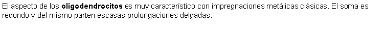 Cuadro de texto: El aspecto de los oligodendrocitos es muy caracterstico con impregnaciones metlicas clsicas. El soma es redondo y del mismo parten escasas prolongaciones delgadas.