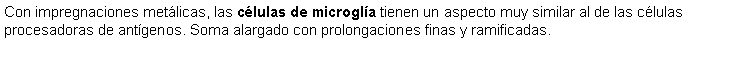 Cuadro de texto: Con impregnaciones metlicas, las clulas de microgla tienen un aspecto muy similar al de las clulas procesadoras de antgenos. Soma alargado con prolongaciones finas y ramificadas.