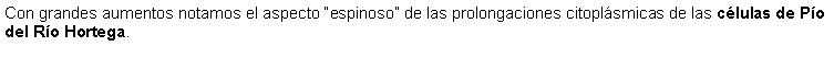 Cuadro de texto: Con grandes aumentos notamos el aspecto espinoso de las prolongaciones citoplsmicas de las clulas de Po del Ro Hortega.