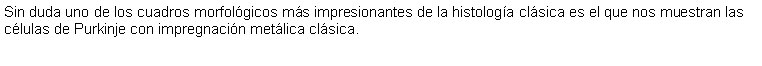 Cuadro de texto: Sin duda uno de los cuadros morfolgicos ms impresionantes de la histologa clsica es el que nos muestran las clulas de Purkinje con impregnacin metlica clsica.