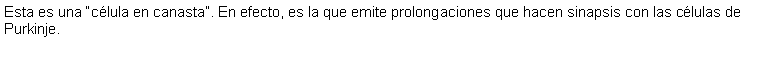 Cuadro de texto: Esta es una clula en canasta. En efecto, es la que emite prolongaciones que hacen sinapsis con las clulas de Purkinje. 