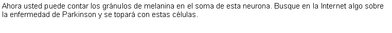 Cuadro de texto: Ahora usted puede contar los grnulos de melanina en el soma de esta neurona. Busque en la Internet algo sobre la enfermedad de Parkinson y se topar con estas clulas.