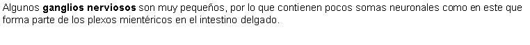 Cuadro de texto: Algunos ganglios nerviosos son muy pequeos, por lo que contienen pocos somas neuronales como en este que forma parte de los plexos mientricos en el intestino delgado.