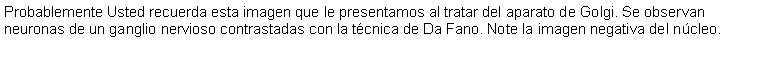 Cuadro de texto: Probablemente Usted recuerda esta imagen que le presentamos al tratar del aparato de Golgi. Se observan neuronas de un ganglio nervioso contrastadas con la tcnica de Da Fano. Note la imagen negativa del ncleo.