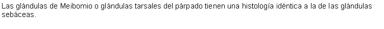 Cuadro de texto: Las glndulas de Meibomio o glndulas tarsales del prpado tienen una histologa idntica a la de las glndulas sebceas.