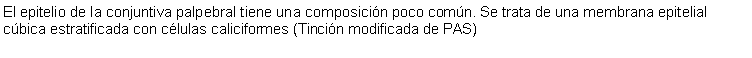 Cuadro de texto: El epitelio de la conjuntiva palpebral tiene una composicin poco comn. Se trata de una membrana epitelial cbica estratificada con clulas caliciformes (Tincin modificada de PAS)