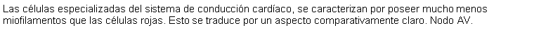 Cuadro de texto: Las clulas especializadas del sistema de conduccin cardaco, se caracterizan por poseer mucho menos miofilamentos que las clulas rojas. Esto se traduce por un aspecto comparativamente claro. Nodo AV.