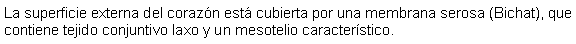 Cuadro de texto: La superficie externa del corazn est cubierta por una membrana serosa (Bichat), que contiene tejido conjuntivo laxo y un mesotelio caracterstico.