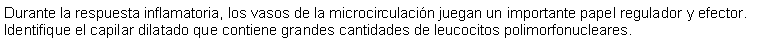 Cuadro de texto: Durante la respuesta inflamatoria, los vasos de la microcirculacin juegan un importante papel regulador y efector. Identifique el capilar dilatado que contiene grandes cantidades de leucocitos polimorfonucleares.